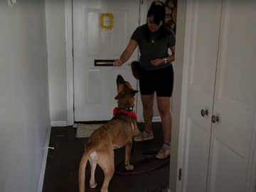 Fina Garcia doing an in-home training session