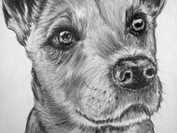 Caramel, in Graphite 