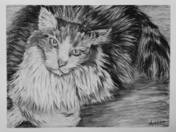 Squeaky, in Charcoal