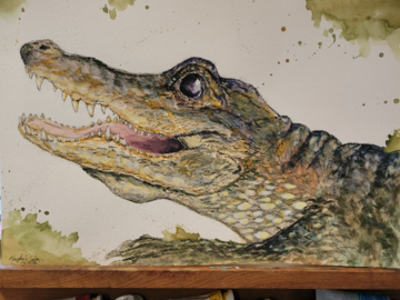 Gator in Watercolor