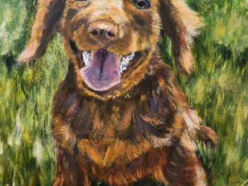 Otis the Dachshund Puppy, Mixed Media and Oil