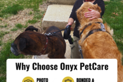 Request Quote: Onyx Pet Care - Professional Dog Walking - Laurel, MD