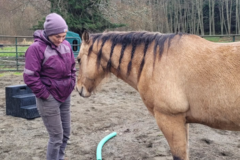 Request Quote: Animal Communication, Energy Healing and Coaching - Nationwide