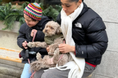 Request Quote: Trusted Pet Flight Nanny - Nationwide