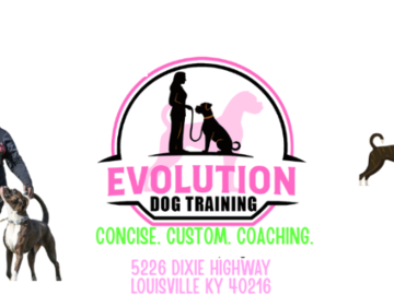 dog training Louisville KY