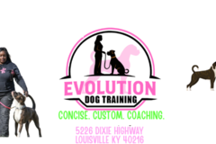 Request Quote: Evolution Dog Training - Louisville, KY