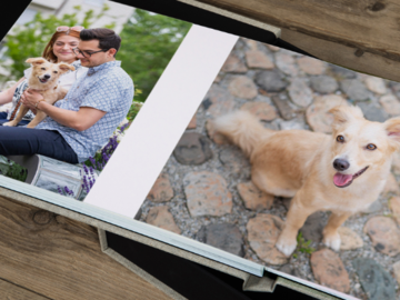 Album with photos of puppy and their people