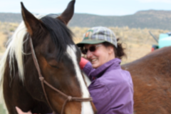 Request Quote: Meridian Harmony - Animal Massage Therapy - Fort Collins, CO