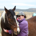 Meridian Harmony - Animal Massage Therapy - Fort Collins, CO