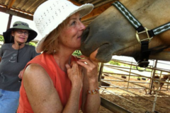 Request Quote: Penny the Animal Whisperer - Nationwide