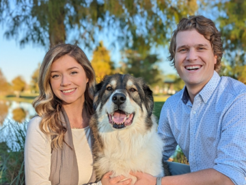 animal chiropractic bradenton fl