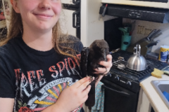 Request Quote: Casey Barnes Flight Nanny - Nationwide