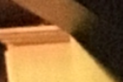 Request Quote: Tina’s Poop Scoop - Pet Waste Removal - Cumberland County, NJ