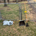 Tidy Tails | Dog Waste Removal Service - Florissant, MO