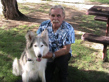animal chiropractor phoenix az