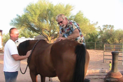 Request Quote: Arizona Animal Chiropractic  - Phoenix, AZ