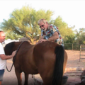 Arizona Animal Chiropractic  - Phoenix, AZ