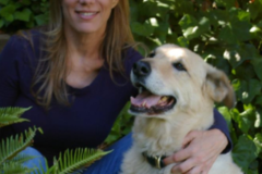 Request Quote: In-Home Euthanasia and Cremation for Dogs and Cats - Delray Beach, FL