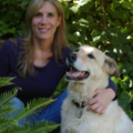 In-Home Euthanasia and Cremation for Dogs and Cats - Delray Beach, FL