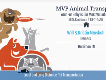 pet transportation tennessee