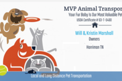 Request Quote: MVP Animal Transport - Pet Transportation Service - Nationwide