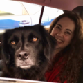 Certified Pet Loss Grief Counselor  - Nationwide