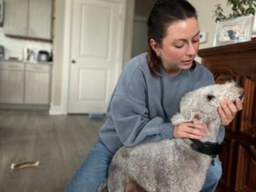 dr. kristin adjusting a dog