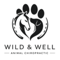 Wild & Well Animal Chiropractic  - Nashville, TN