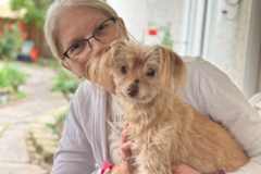 Request Quote: Professional In-Home Pet Sitter - Roseville, CA