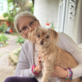 Professional In-Home Pet Sitter - Roseville, CA