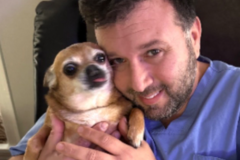 Request Quote: Pittsburgh Pet Concierge Luxury Pet Boarding Resort  - Monroeville, PA