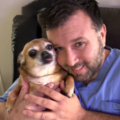 Pittsburgh Pet Concierge Luxury Pet Boarding Resort  - Monroeville, PA