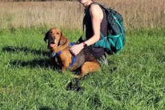 Request Quote: Moon Haven Companion Care | In-Home Pet Care - Fredericksburg, VA