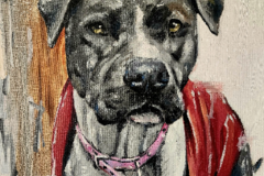 Request Quote: Modern Impressionist Pet Portrait Artist - Nationwide