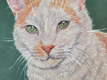 Cat portrait on 11" x 14" canvas