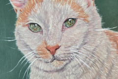 Request Quote: Custom Pet Portraits - Nationwide