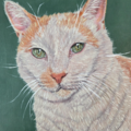 Custom Pet Portraits - Nationwide