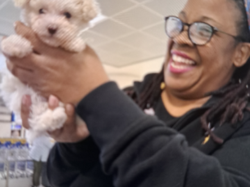 Puppy delivery to Phoenix 2026