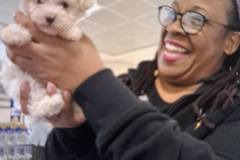 Angel Flights Reliable Pet Nannies - Corona, CA