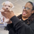 Angel Flights Reliable Pet Nannies - Nationwide