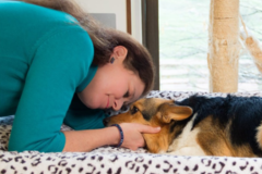 Request Quote: Animal Communicator and Energy Healer - Nationwide