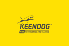 Request Quote: DOG TRAINING PROGRAMS  - Fort Mill, SC