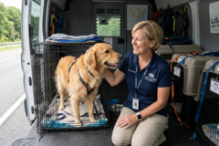 Request Quote: Lisa Layher | Professional Pet Transportation  - Nationwide