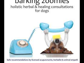 Barking Zoomies Consultation