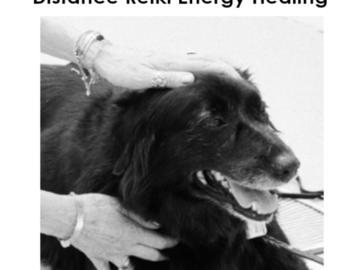 Reiki dog