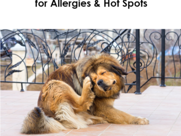 Allergy Dog