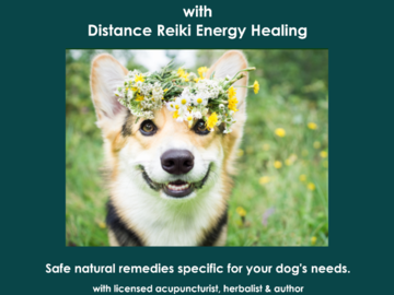 herbal dog consult