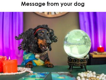 pet psychic