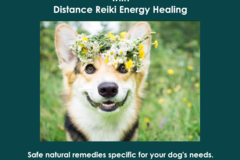Request Quote: Barking Zoomies | Dog Distance Reiki Consultations - Nationwide