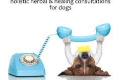 Request Quote: Barking Zoomies Holistic Dog Nutrition Consultations - Nationwide